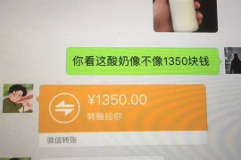 皋兰遇到恶意拖欠？专业追讨公司帮您解决烦恼